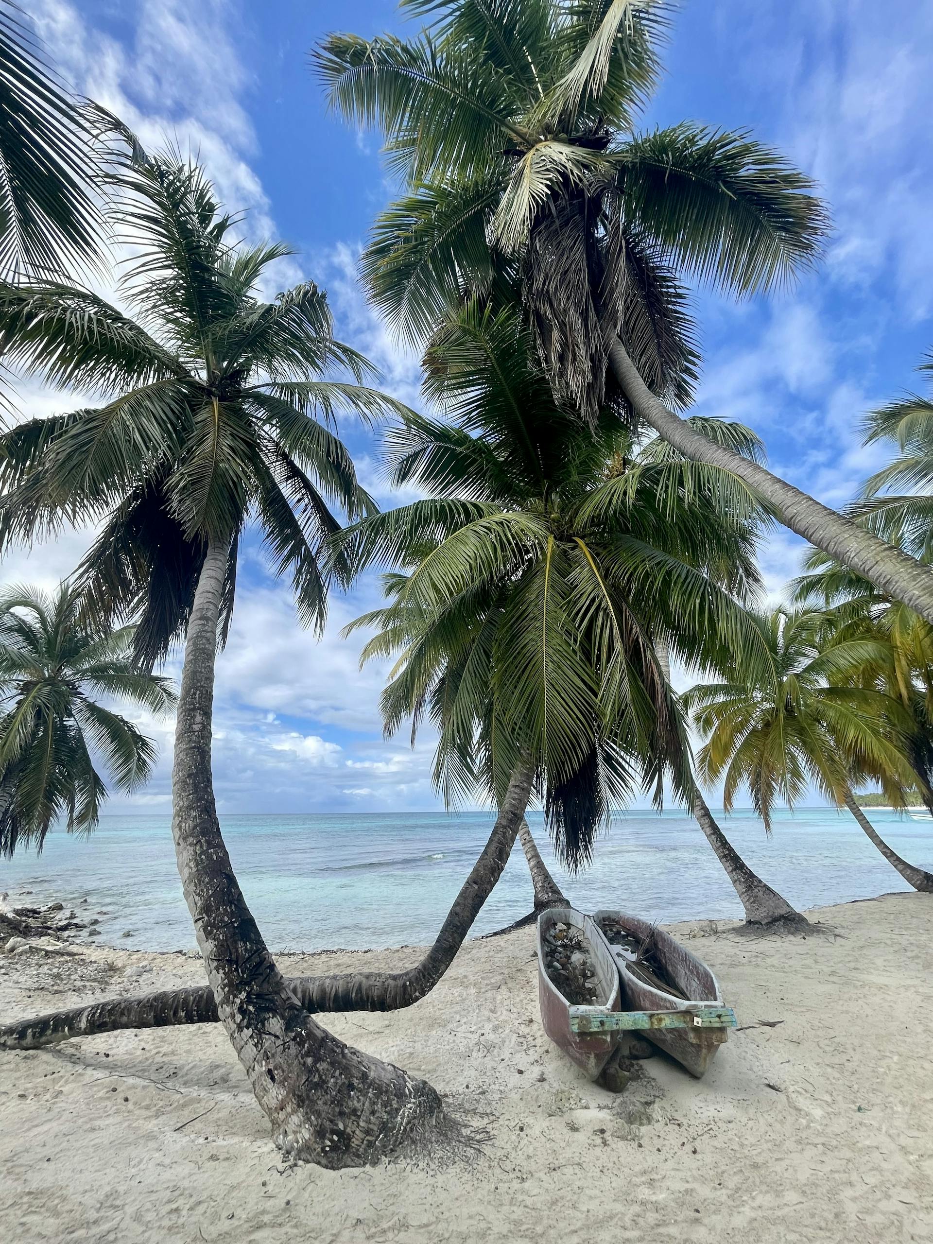 Idyllic tropical beach scene with palm trees, turquoise sea, and an old boat, perfect for a summer getaway.